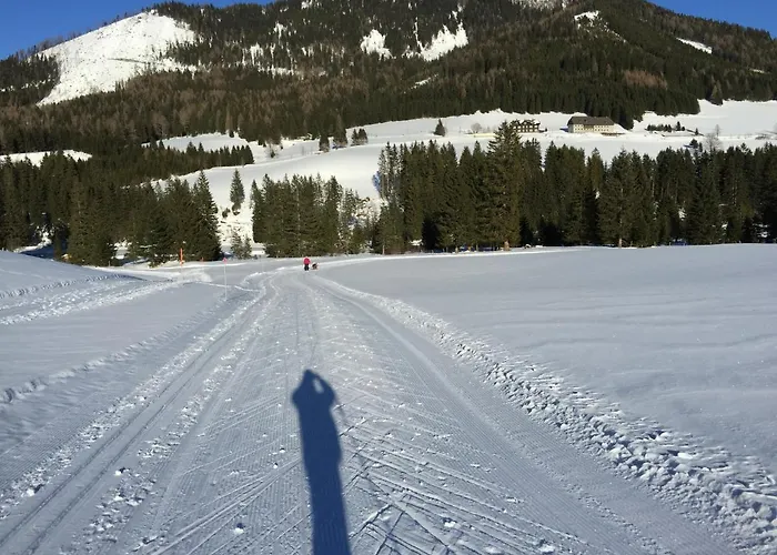 Auszeit-hohentauern Chalet *